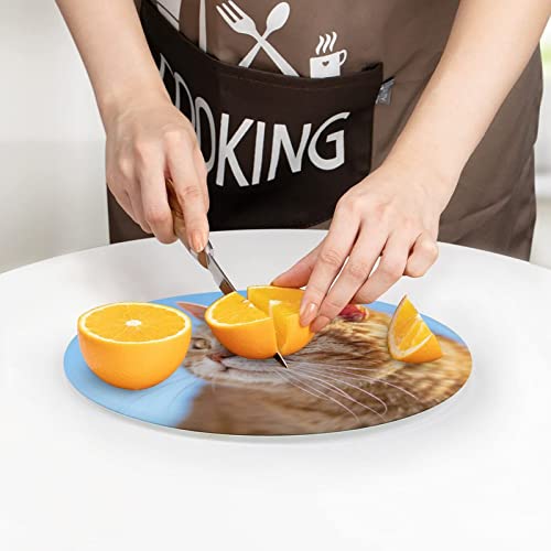 Orange Cat Tempered Glass Cutting Board Heat Resistant For Bread Meat Fruit 7.9 in