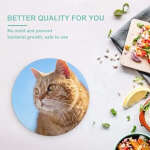 Orange Cat Tempered Glass Cutting Board Heat Resistant For Bread Meat Fruit 7.9 in