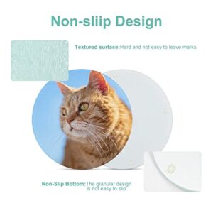 Orange Cat Tempered Glass Cutting Board Heat Resistant For Bread Meat Fruit 7.9 in