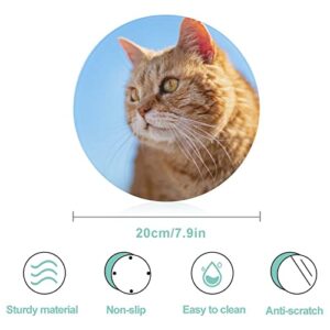 Orange Cat Tempered Glass Cutting Board Heat Resistant For Bread Meat Fruit 7.9 in