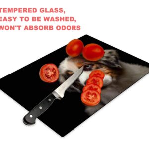 Tempered Glass Cutting Board Cute puppy Australian Shepherd blue merle dog portrait Tableware Kitchen Decorative Cutting Board with Non-slip Legs, Serving Board, Large Size, 15" x 11"