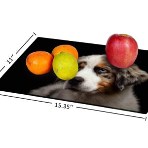 Tempered Glass Cutting Board Cute puppy Australian Shepherd blue merle dog portrait Tableware Kitchen Decorative Cutting Board with Non-slip Legs, Serving Board, Large Size, 15" x 11"