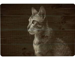 tempered glass cutting board side view cats potrait in black and white high contrast low key tableware kitchen decorative cutting board with non-slip legs, serving board, large size, 15" x 11"