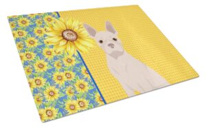 caroline's treasures wdk5335lcb summer sunflowers white boston terrier glass cutting board large decorative tempered glass kitchen cutting and serving board large size chopping board