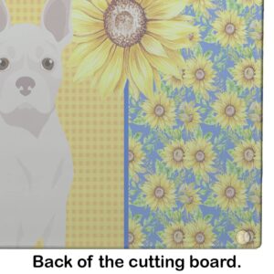 Caroline's Treasures WDK5335LCB Summer Sunflowers White Boston Terrier Glass Cutting Board Large Decorative Tempered Glass Kitchen Cutting and Serving Board Large Size Chopping Board