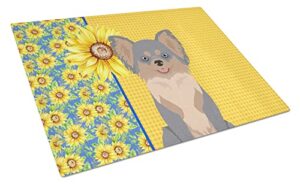 caroline's treasures wdk5358lcb summer sunflowers longhaired blue and tan chihuahua glass cutting board large decorative tempered glass kitchen cutting and serving board large size chopping board