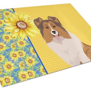 Caroline's Treasures WDK5482LCB Summer Sunflowers Sable Sheltie Glass Cutting Board Large Decorative Tempered Glass Kitchen Cutting and Serving Board Large Size Chopping Board