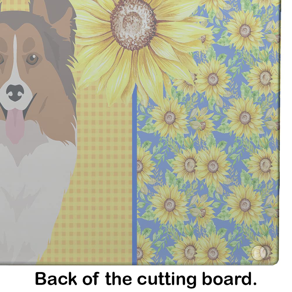 Caroline's Treasures WDK5482LCB Summer Sunflowers Sable Sheltie Glass Cutting Board Large Decorative Tempered Glass Kitchen Cutting and Serving Board Large Size Chopping Board