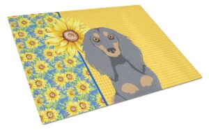 caroline's treasures wdk5391lcb summer sunflowers longhair blue and tan dachshund glass cutting board large decorative tempered glass kitchen cutting and serving board large size chopping board