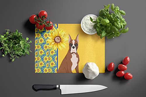 Caroline's Treasures WDK5344LCB Summer Sunflowers Red Fawn Boxer Glass Cutting Board Large Decorative Tempered Glass Kitchen Cutting and Serving Board Large Size Chopping Board