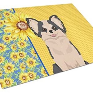 Caroline's Treasures WDK5362LCB Summer Sunflowers Longhaired Black and White #2 Chihuahua Glass Cutting Board Large Decorative Tempered Glass Kitchen Cutting and Serving Board Large Size Chopping Boar