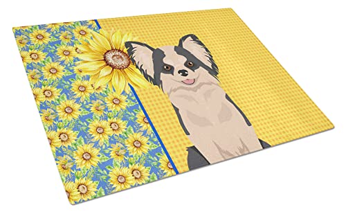 Caroline's Treasures WDK5362LCB Summer Sunflowers Longhaired Black and White #2 Chihuahua Glass Cutting Board Large Decorative Tempered Glass Kitchen Cutting and Serving Board Large Size Chopping Boar