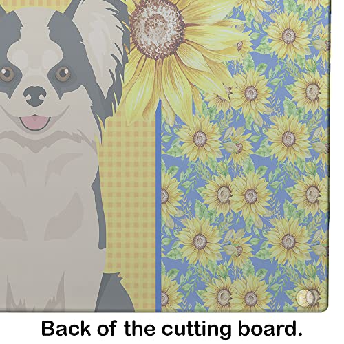 Caroline's Treasures WDK5362LCB Summer Sunflowers Longhaired Black and White #2 Chihuahua Glass Cutting Board Large Decorative Tempered Glass Kitchen Cutting and Serving Board Large Size Chopping Boar