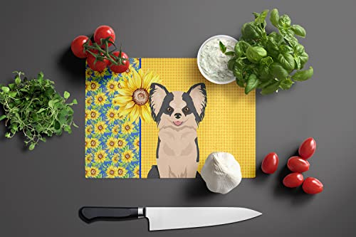 Caroline's Treasures WDK5362LCB Summer Sunflowers Longhaired Black and White #2 Chihuahua Glass Cutting Board Large Decorative Tempered Glass Kitchen Cutting and Serving Board Large Size Chopping Boar