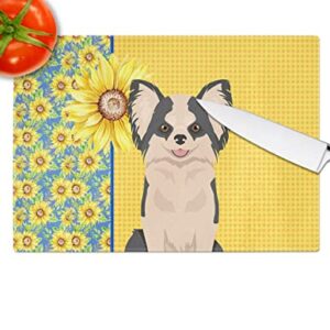 Caroline's Treasures WDK5362LCB Summer Sunflowers Longhaired Black and White #2 Chihuahua Glass Cutting Board Large Decorative Tempered Glass Kitchen Cutting and Serving Board Large Size Chopping Boar