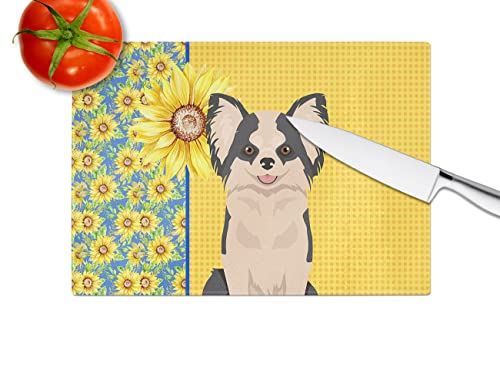 Caroline's Treasures WDK5362LCB Summer Sunflowers Longhaired Black and White #2 Chihuahua Glass Cutting Board Large Decorative Tempered Glass Kitchen Cutting and Serving Board Large Size Chopping Boar