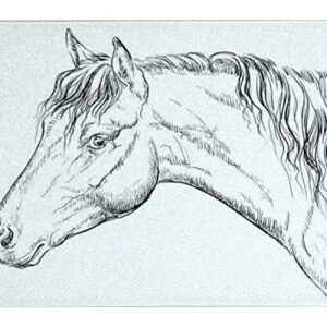 Tempered Glass Cutting Board Horse portrait 11 stock illustration Tableware Kitchen Decorative Cutting Board with Non-slip Legs, Serving Board, Large Size, 15" x 11"