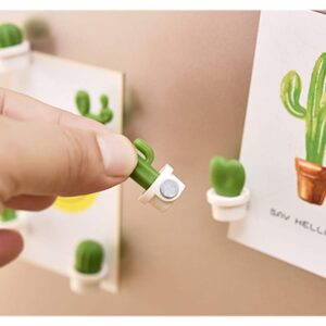 TabEnter Decorative Refrigerator Magnets, Perfect Fridge Magnets for House Office Personal Use (12Pcs Cactus)