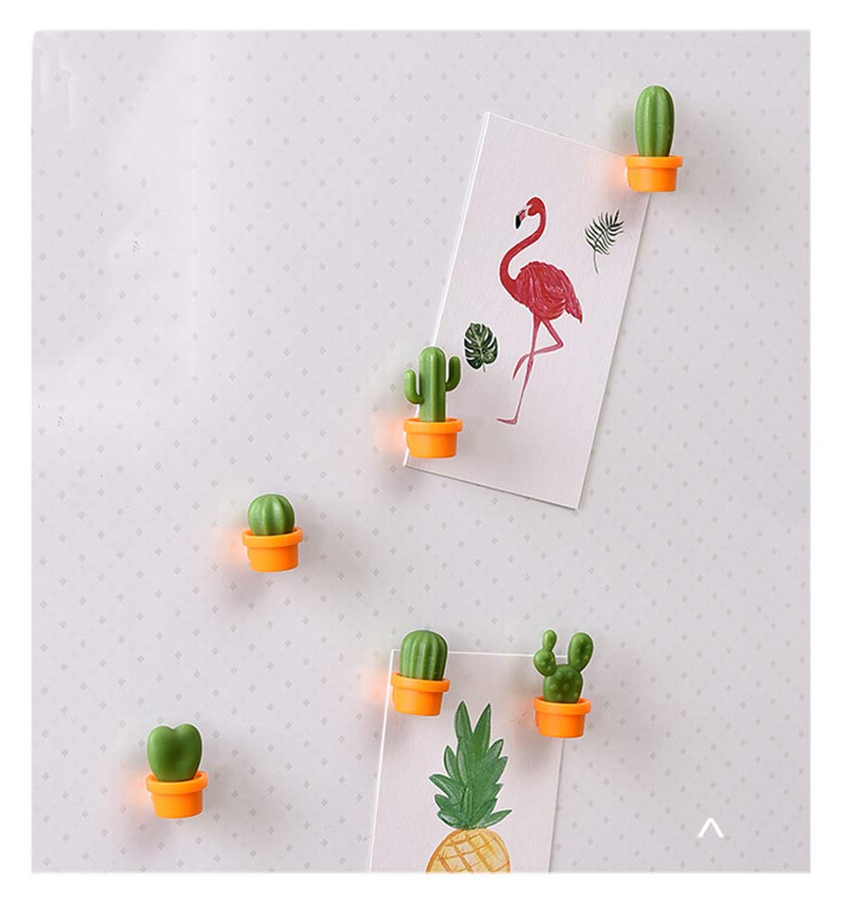 TabEnter Decorative Refrigerator Magnets, Perfect Fridge Magnets for House Office Personal Use (12Pcs Cactus)