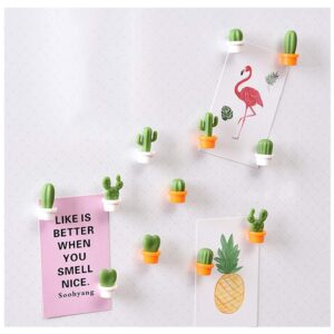 TabEnter Decorative Refrigerator Magnets, Perfect Fridge Magnets for House Office Personal Use (12Pcs Cactus)