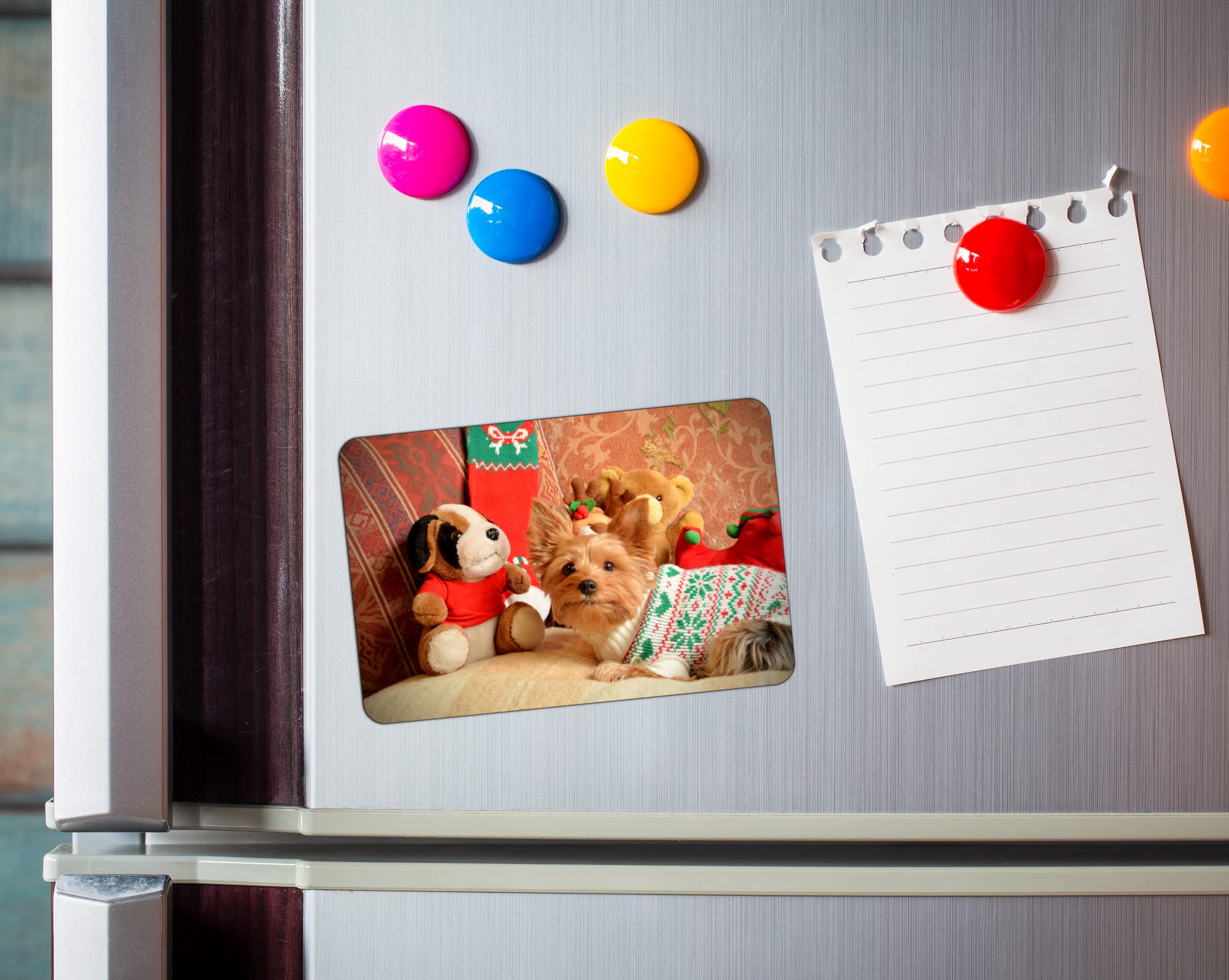 Your Square Custom Magnet | Square Magnetic Photo for Home School Office Kitchen Fridge Special Decoration | Save Your Best Personalized Picture Magnets | INKL Free Photo Upscaler