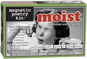 magnetic poetry - moist kit - uncomfortable words for your refrigerator - write poems and letters on the fridge - made in the usa