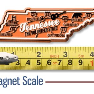 Tennessee Premium State Magnet by Classic Magnets, 4.1" x 1.3", Collectible Souvenirs Made in The USA