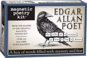 magnetic poetry - edgar allan poet kit - words for refrigerator - write poems and letters on the fridge - made in the usa