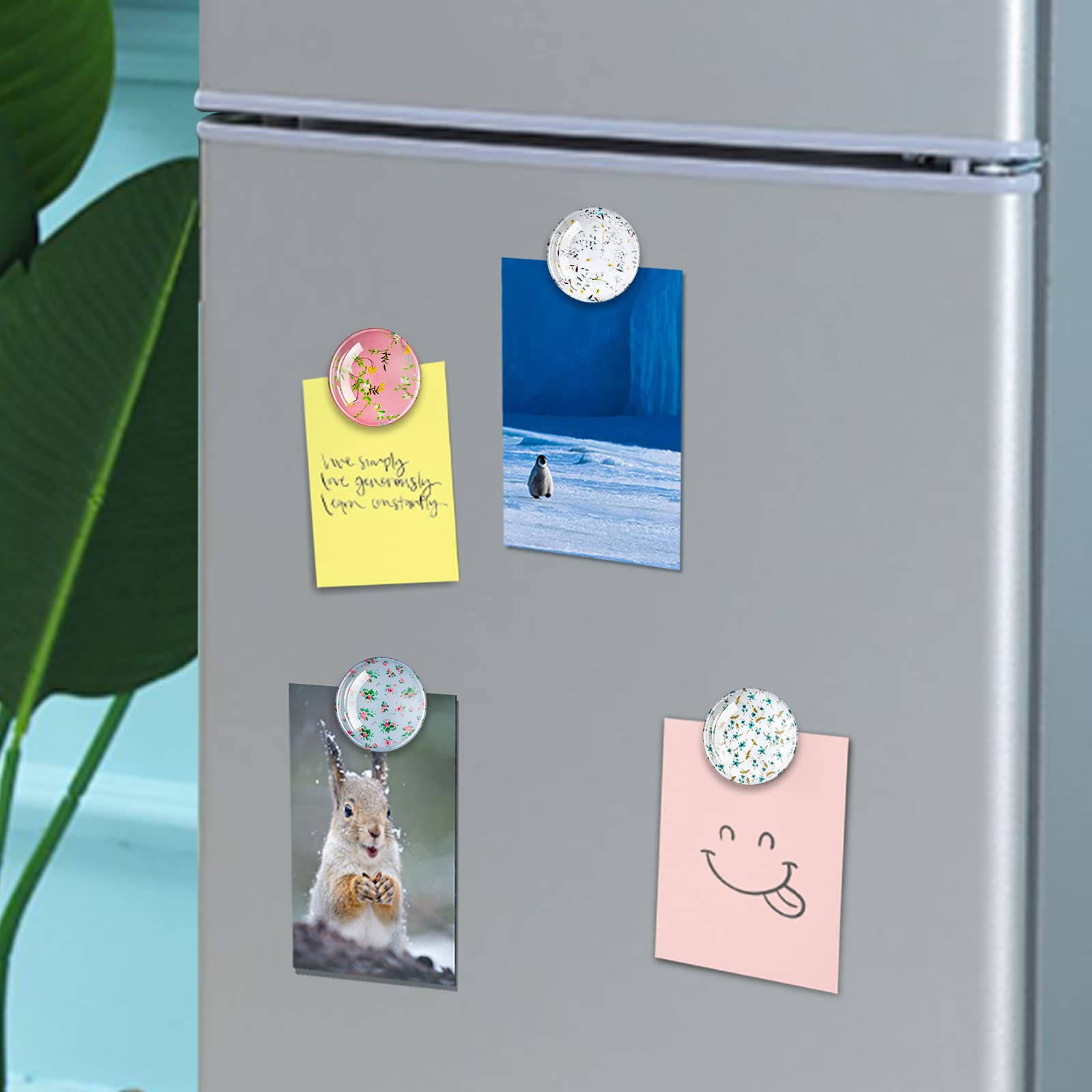 Fridge Magnets, 12Pcs Refrigerator Magnets with Florets, Magnets for Fridge of Kitchen, Locker Magnets for Girls, Cute Magnets for Fridge, Decorative Magnets for Whiteboard,Cabinet and Dishwasher.