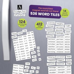 Poetry Tiles - 536 Really Dirty Words Refrigerator Magnets for Adults - Sexy Word Magnets & Funny Magnets for Adults - Make Refrigerator Poems and Stories with Funny Fridge Magnets Adult Themed Kit