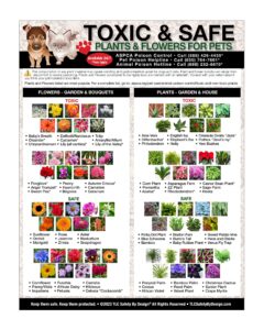 tlc safety by design premium toxic and safe plants & flowers poison for pets dogs cats emergency large format veterinarian approved refrigerator safety magnet 8.5” x 11”