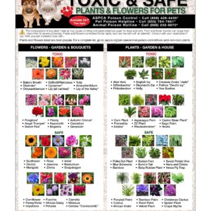 TLC Safety By Design Premium Toxic and Safe Plants & Flowers Poison for Pets Dogs Cats Emergency Large Format Veterinarian Approved Refrigerator Safety Magnet 8.5” x 11”