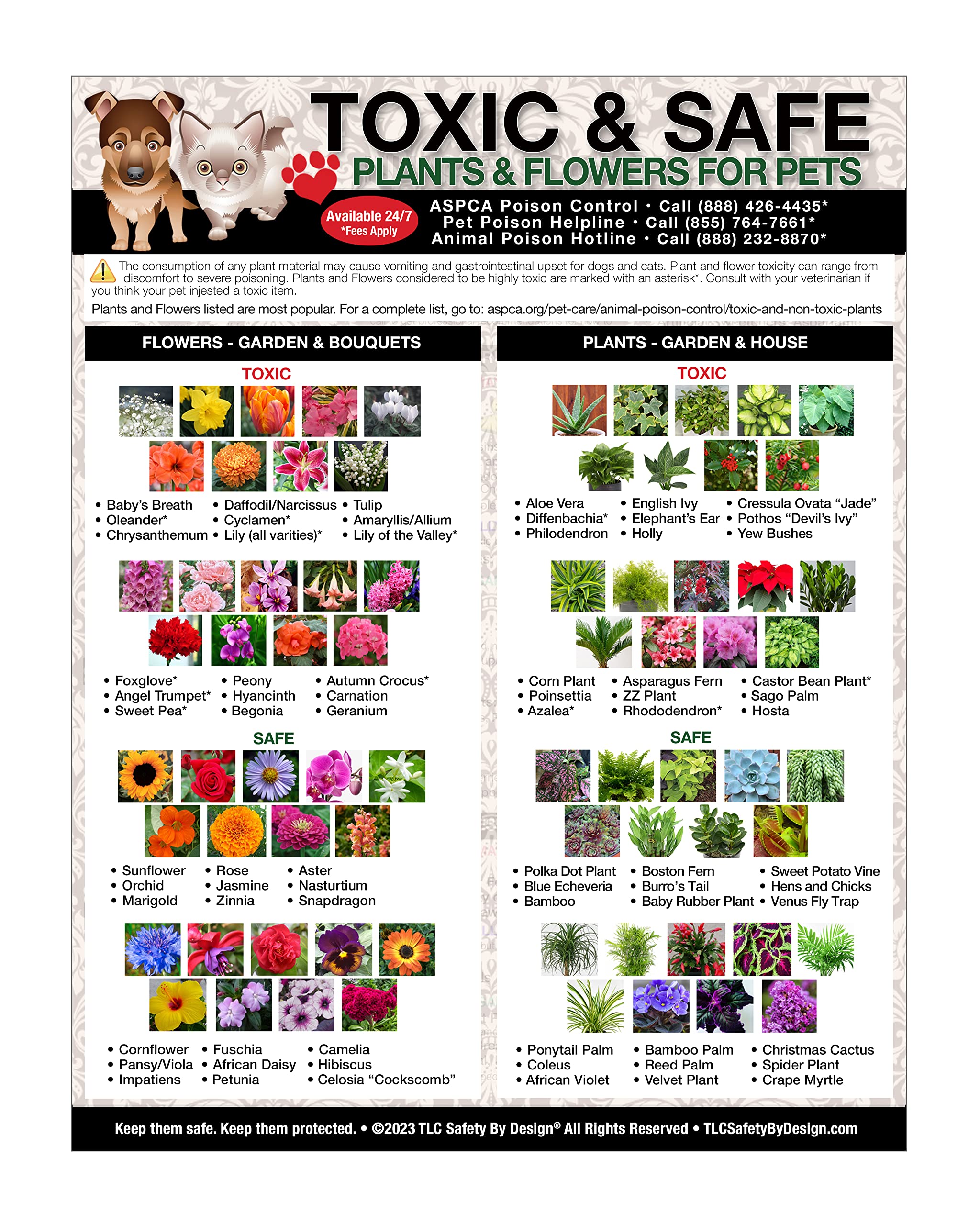 TLC Safety By Design Premium Toxic and Safe Plants & Flowers Poison for Pets Dogs Cats Emergency Large Format Veterinarian Approved Refrigerator Safety Magnet 8.5” x 11”