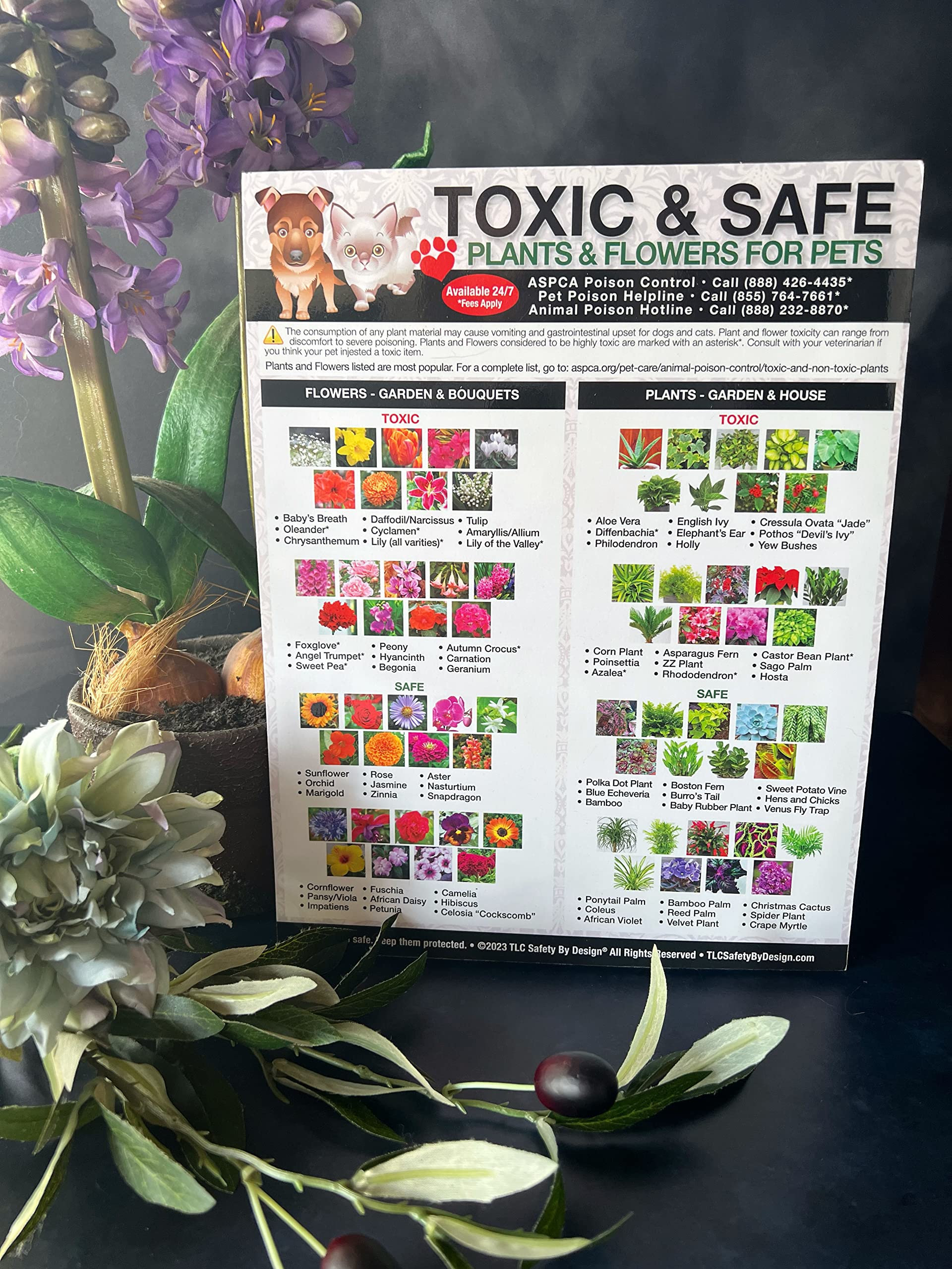 TLC Safety By Design Premium Toxic and Safe Plants & Flowers Poison for Pets Dogs Cats Emergency Large Format Veterinarian Approved Refrigerator Safety Magnet 8.5” x 11”