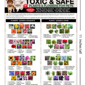 TLC Safety By Design Premium Toxic and Safe Plants & Flowers Poison for Pets Dogs Cats Emergency Large Format Veterinarian Approved Refrigerator Safety Magnet 8.5” x 11”