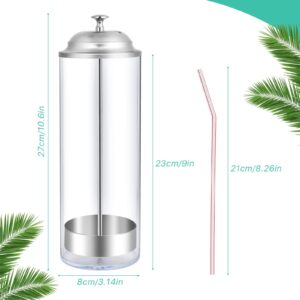 Worldity 1Pcs Plastic Straw Dispenser and 100Pcs Drinking Straw, Straw Holder with Stainless Steel Lid, Transparent Straw Dispenser for Pencils, Stir Sticks, Drinking Straw