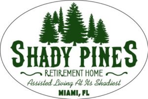 shady pines retirement home car magnet - 4x6 oval automobile magnet (one magnet)
