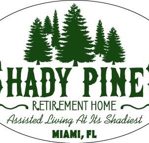 Shady Pines Retirement Home Car Magnet - 4x6 Oval Automobile Magnet (One Magnet)