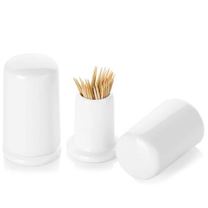 ontube ceramic toothpick holder with lid,toothpick dispenser for home, easy to clean-set of 2, white