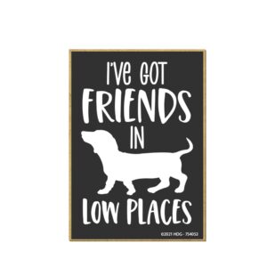 honey dew gifts, i've got friends in low places, 2.5 inches by 3.5 inches, refrigerator magnets, fridge magnets, decorative magnets, funny magnets, dachshund gifts, dachshund decor, funny dog stuff