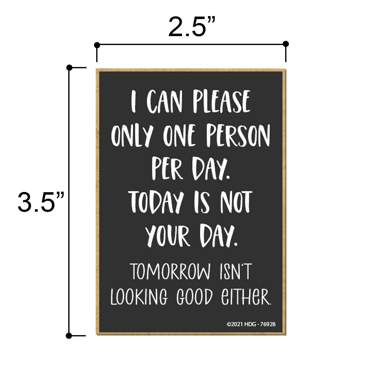 Honey Dew Gifts, I Can Only Please One Person per Day Today is Not Your Day, 2.5 Inches by 3.5 Inches, Locker Decorations, Refrigerator Magnets, Fridge Magnets, Decorative Magnets, Funny Magnets