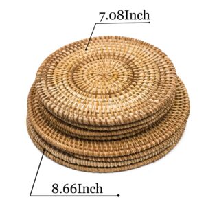 BEEHOMEE Trivets for Hot Dishes - Woven Rattan Trivets Hot Pads for Dinning Table,Kitchen Heat Resistant Straw Dish Coasters Placemats Pot Holder (8.66 Inch)