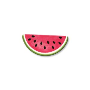 roeda brighten your life 30019r watermelon open stock magnet