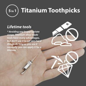 Titanium Toothpick with Holder, 100% Titanium Alloy Keychain Toothpick,Titanium EDC toothpick Tools 5-in-1, Bottle Opener, Box Opener, Mini Cutter, Car Window Breaker, Titanium Gifts for Men and Women