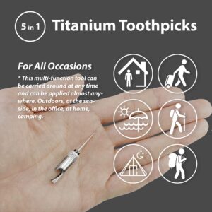 Titanium Toothpick with Holder, 100% Titanium Alloy Keychain Toothpick,Titanium EDC toothpick Tools 5-in-1, Bottle Opener, Box Opener, Mini Cutter, Car Window Breaker, Titanium Gifts for Men and Women