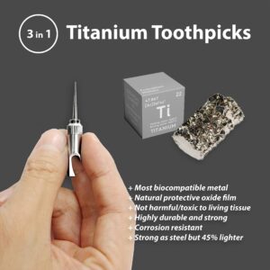 Titanium Toothpick with Holder, 100% Titanium Alloy Keychain Toothpick,Titanium EDC toothpick Tools 5-in-1, Bottle Opener, Box Opener, Mini Cutter, Car Window Breaker, Titanium Gifts for Men and Women