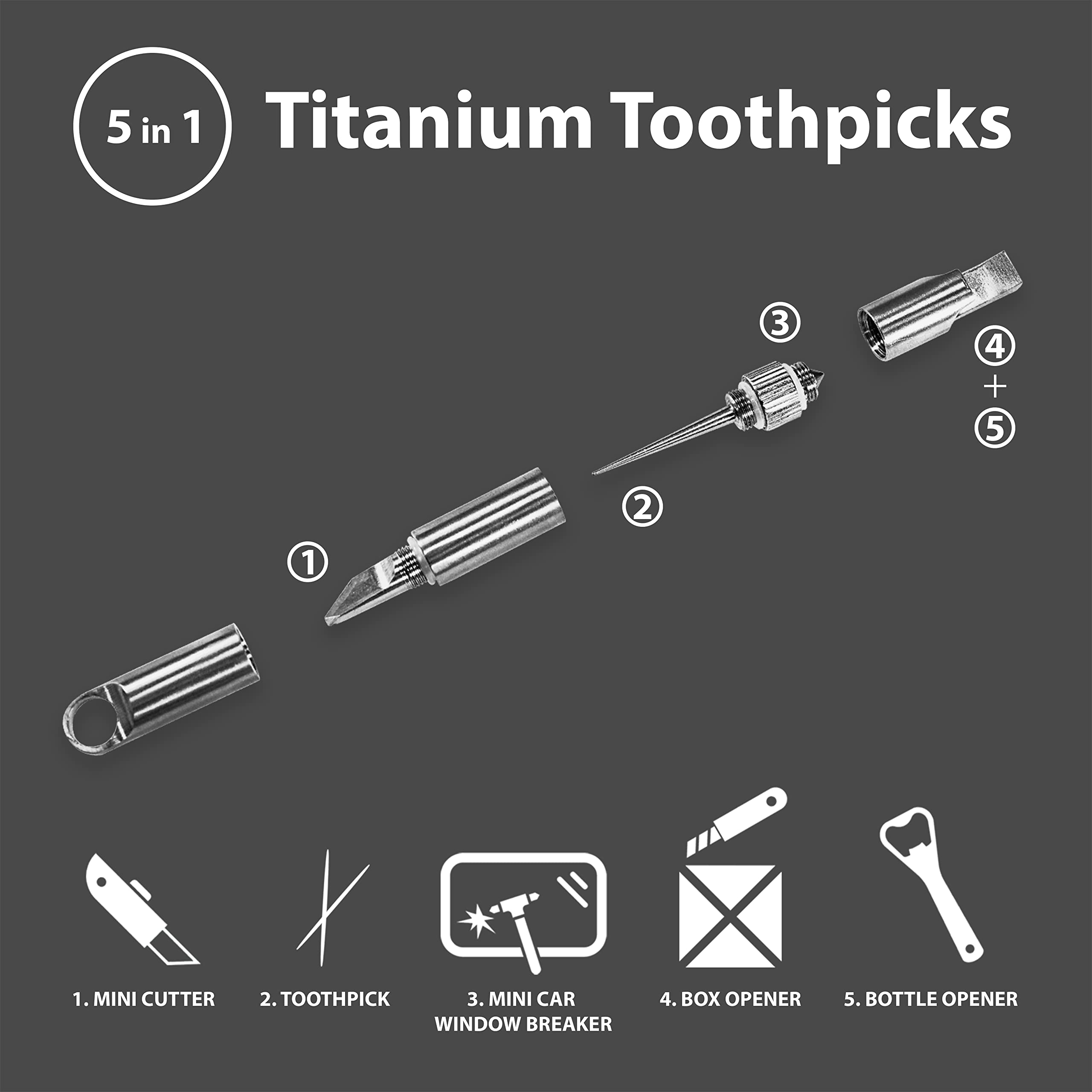 Titanium Toothpick with Holder, 100% Titanium Alloy Keychain Toothpick,Titanium EDC toothpick Tools 5-in-1, Bottle Opener, Box Opener, Mini Cutter, Car Window Breaker, Titanium Gifts for Men and Women