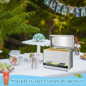 Stainless Steel Straw Dispenser for Counter with 200 Pcs Disposable Plastic Colored Straws Pencils Holder for Home Coffee Bar Classroom Supplies