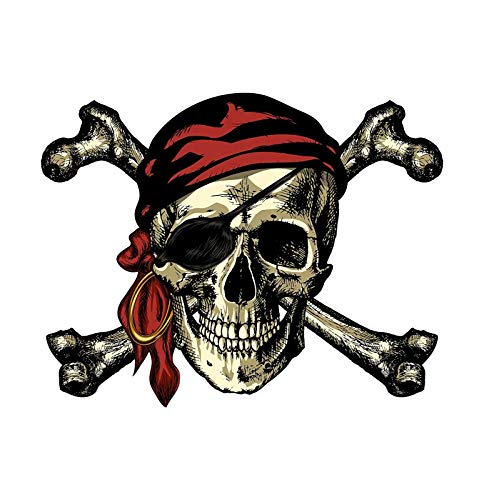 Magnet Pirate Skull and Crossbones Magnetic vinyl bumper sticker sticks to any metal fridge, car, signs 5"