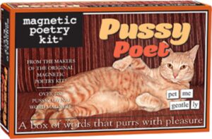 magnetic poetry - pussy poet kit - words for refrigerator - write poems and letters on the fridge - made in the usa
